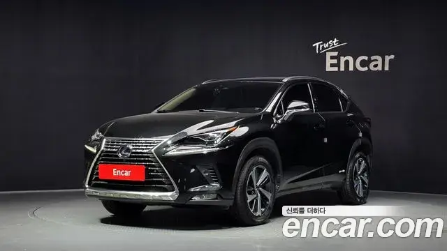 Lexus NX300h 2020 — Şəkil 14/40