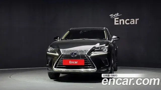 Lexus NX300h 2020 — Şəkil 26/40