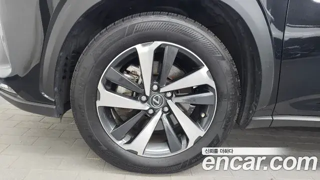 Lexus NX300h 2020 — Şəkil 18/40