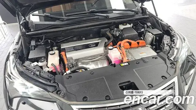 Lexus NX300h 2020 — Şəkil 12/40