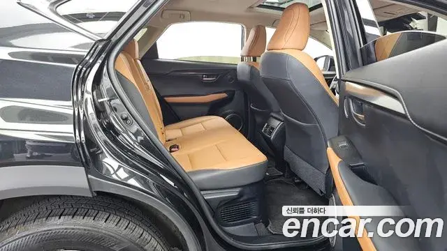 Lexus NX300h 2020 — Şəkil 19/40