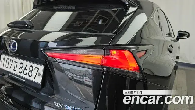 Lexus NX300h 2020 — Şəkil 29/40