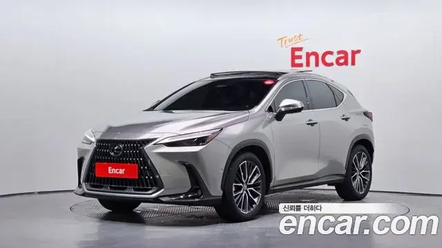 Lexus NX350h 2024 — ფოტო 3/33