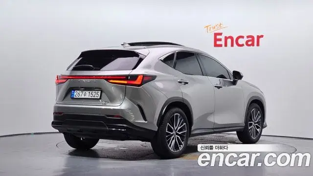 Lexus NX350h 2024 — ფოტო 21/33