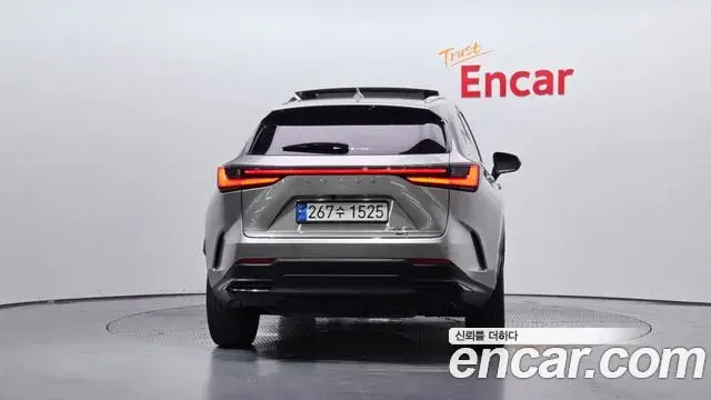 Lexus NX350h 2024 — ფოტო 4/33