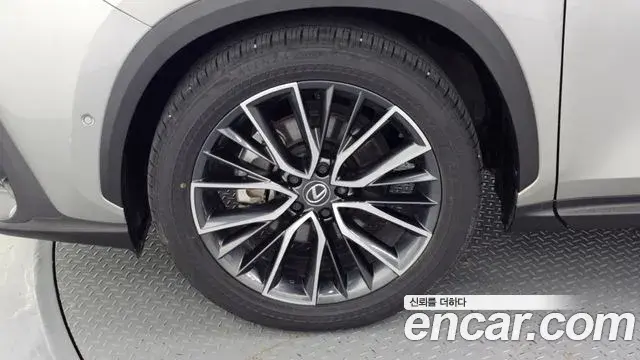 Lexus NX350h 2024 — ფოტო 18/33
