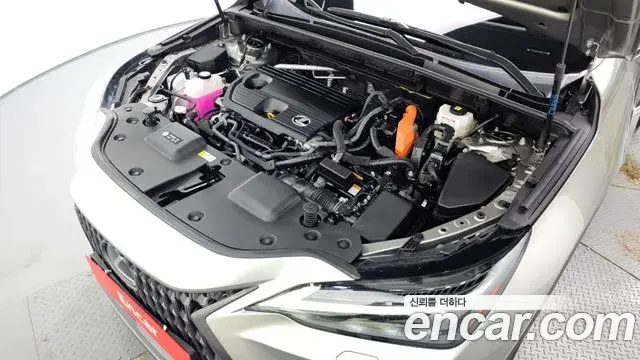 Lexus NX350h 2024 — ფოტო 19/33