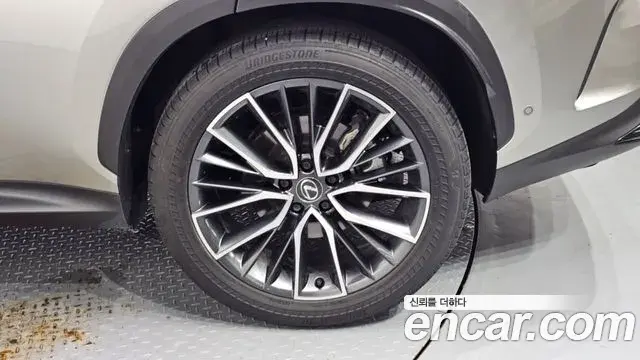 Lexus NX350h 2024 — ფოტო 12/33