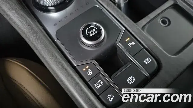 Kia Sorento 2024 — ფოტო 14/33