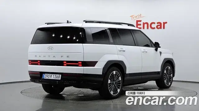Hyundai Santa Fe 2025 — ფოტო 37/38