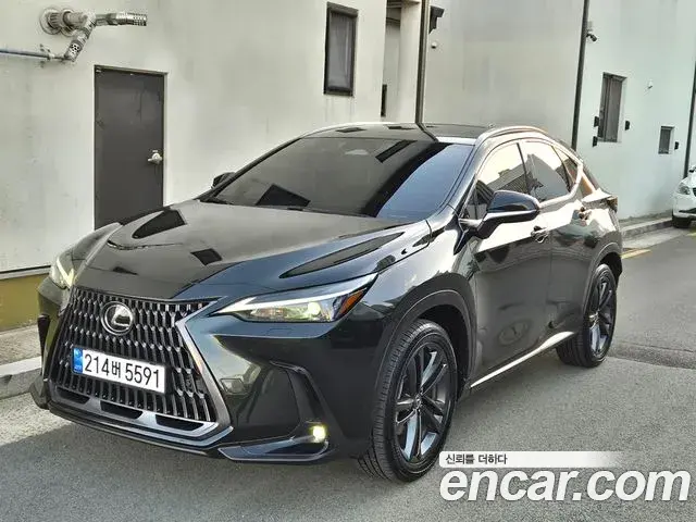 Lexus NX350h 2025 — Photo 6/17