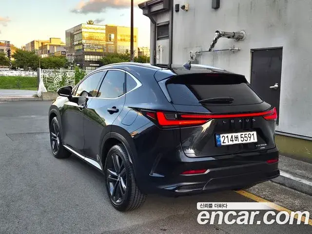 Lexus NX350h 2025 — Photo 10/17