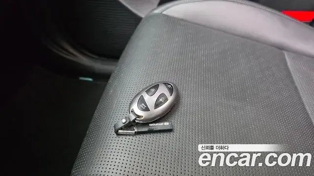 Hyundai Santa Fe 2025 — ფოტო 10/36