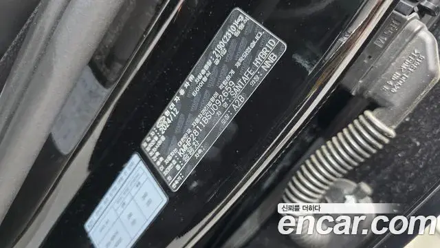 Hyundai Santa Fe 2025 — ფოტო 3/36