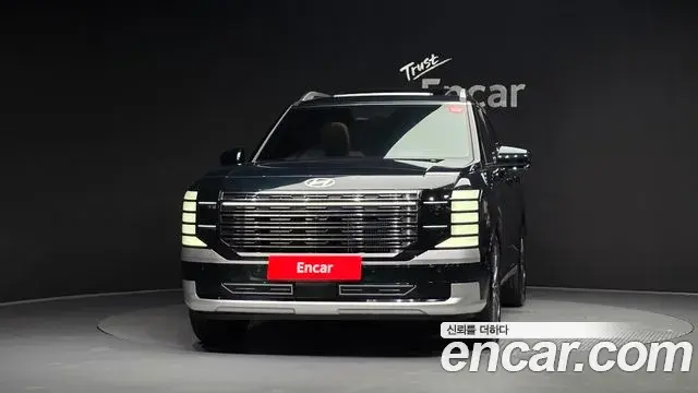 Hyundai Palisade 2025 — ფოტო 13/38