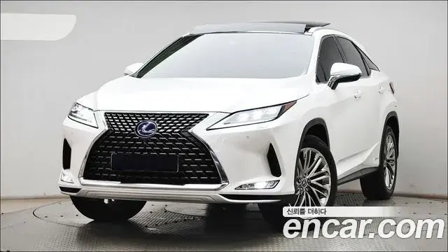 Lexus RX450h 2022 — Photo 13/20