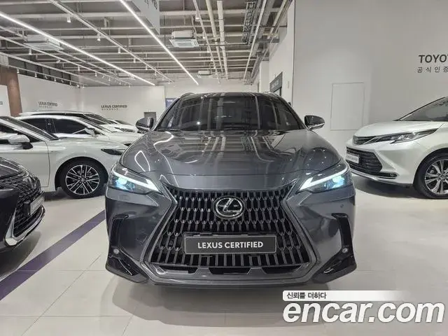 Lexus NX350h 2025 — Şəkil 17/20