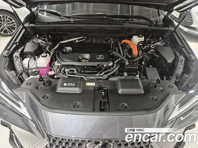 Lexus NX350h 2025 — Şəkil 6/20