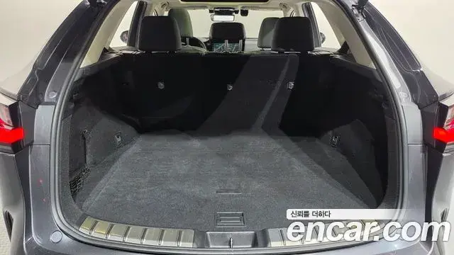 Lexus NX350h 2023 — Фото 18/20