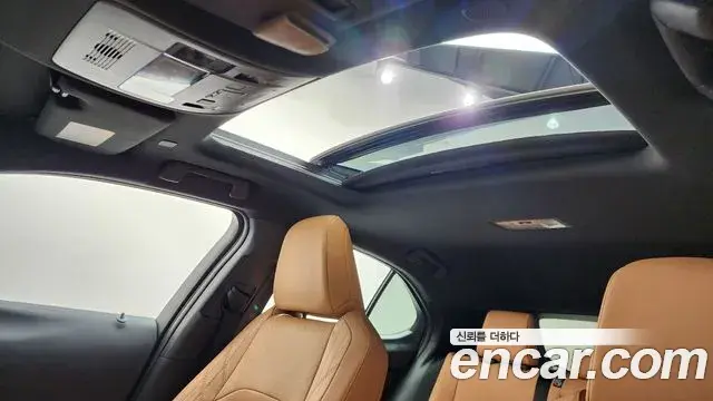 Lexus UX300h 2025 — ფოტო 19/20
