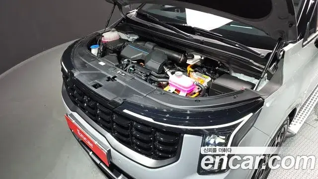 Kia Carnival 2024 — Şəkil 12/20
