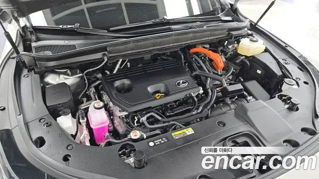 Lexus RX350h 2026 — Photo 6/20