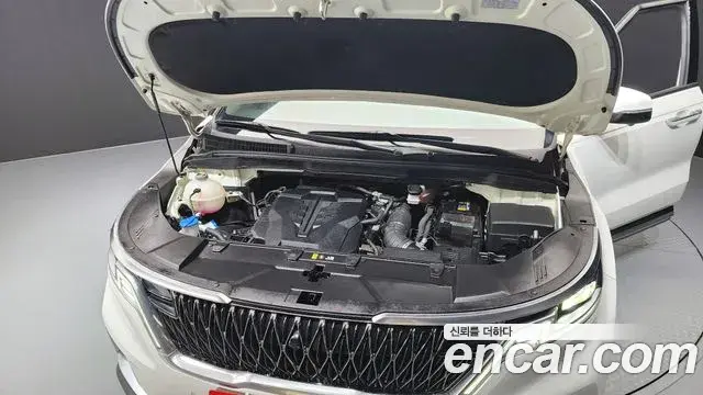Kia Carnival 2021 — ფოტო 16/20