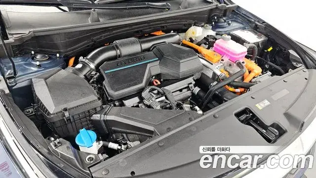 Kia Sportage 2024 — ფოტო 12/20