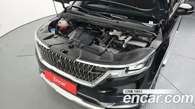 Kia Carnival 2021 — ფოტო 5/20