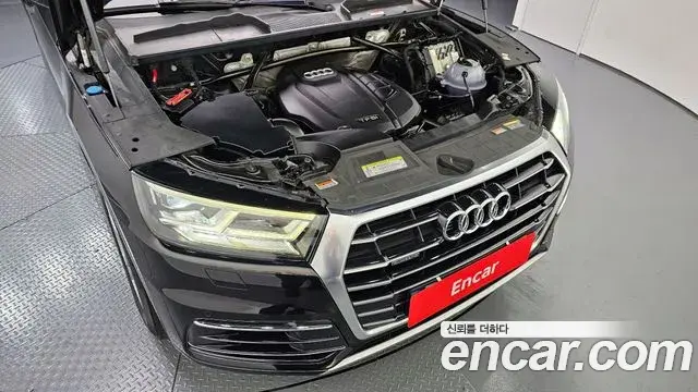 Audi Q5 2020 — ფოტო 19/20