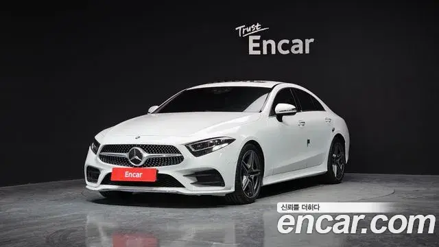 Mercedes-Benz CLS-Class 2019 — ფოტო 13/20
