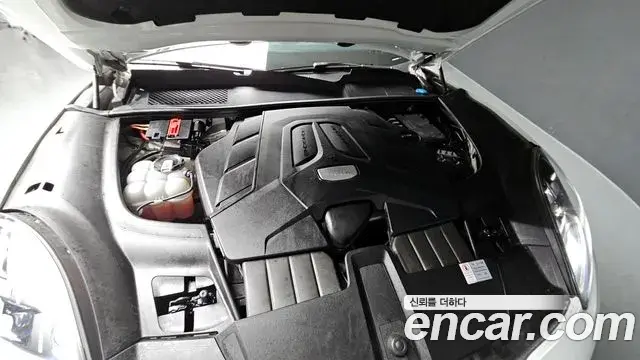 Porsche Cayenne 2019 — ფოტო 11/20