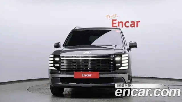 Hyundai Palisade 2025 — ფოტო 8/20