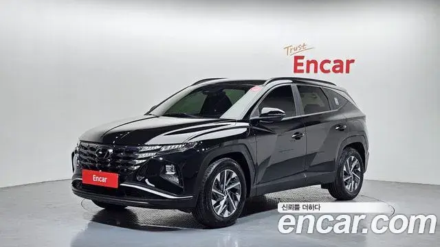 Hyundai Tucson Hybrid 2021 — ფოტო 8/20