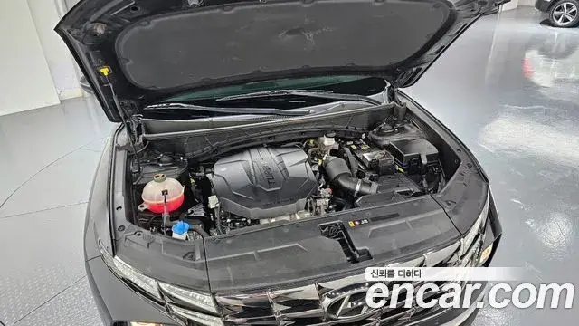 Hyundai Tucson Hybrid 2021 — ფოტო 10/20
