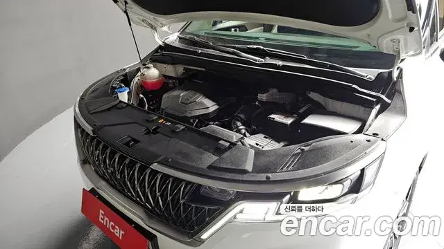 Kia Carnival 2021 — ფოტო 20/20