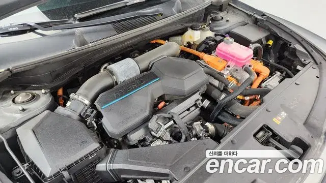 Kia Sportage 2022 — Фото 6/20