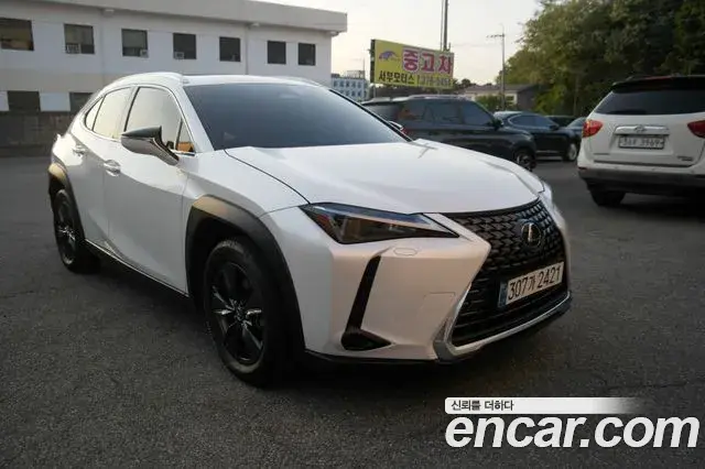 Lexus UX300h 2024 — ფოტო 4/20