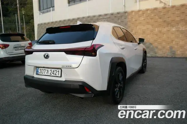 Lexus UX300h 2024 — ფოტო 19/20