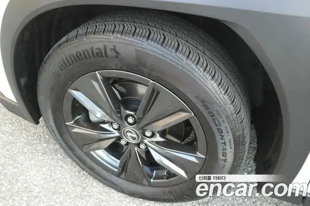 Lexus UX300h 2024 — ფოტო 20/20