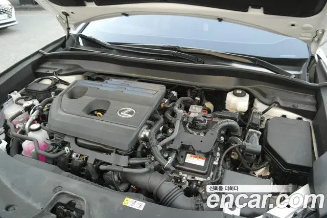 Lexus UX300h 2024 — ფოტო 2/20