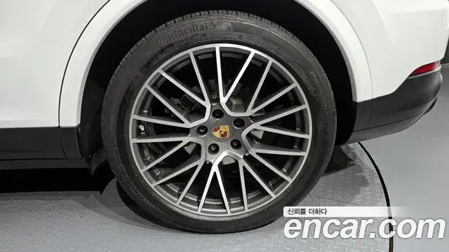 Porsche Cayenne 2020 — ფოტო 12/35