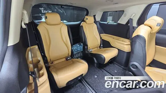 Kia Carnival 2020 — Фото 12/20