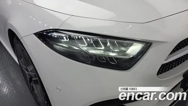 Mercedes-Benz CLS-Class 2019 — ფოტო 7/31