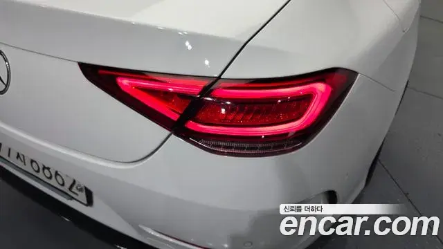 Mercedes-Benz CLS-Class 2019 — ფოტო 8/31