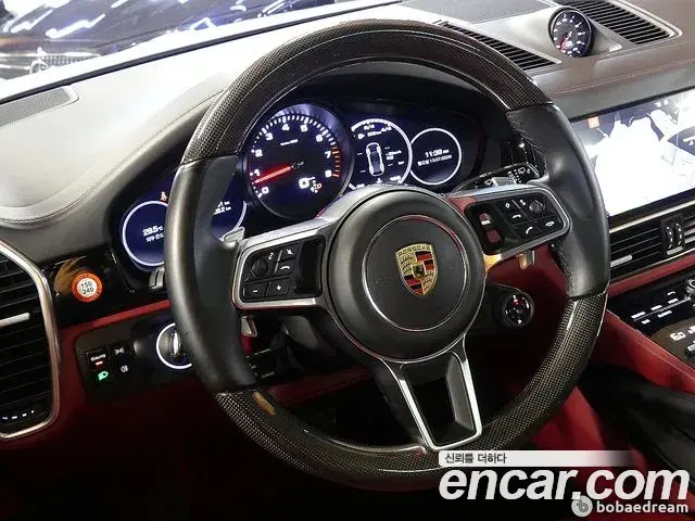Porsche Cayenne 2019 — ფოტო 11/20