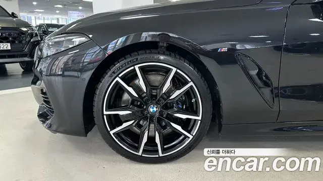 BMW 8 Series 2024 — ფოტო 2/20