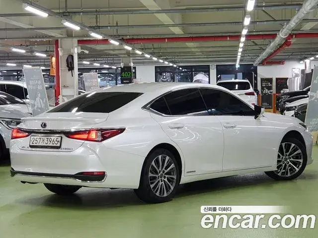 Lexus ES300h 2020 — ფოტო 13/20