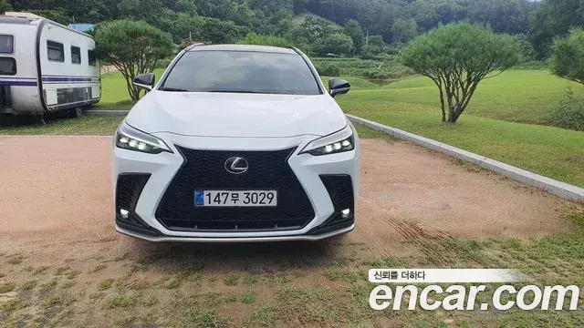 Lexus NX450h+ 2025 — Şəkil 12/17