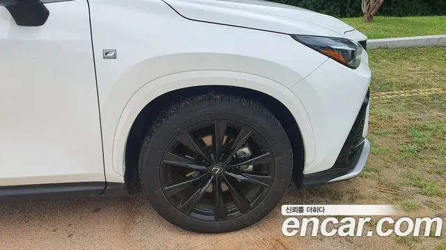 Lexus NX450h+ 2025 — Şəkil 7/17